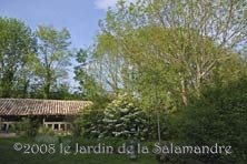 Petits toîts au Jardin de la Salamandre en Dordogne
